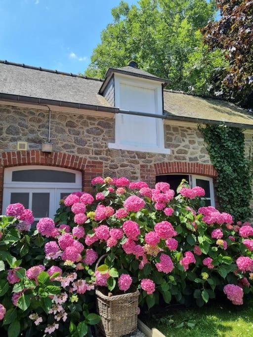 Villa Petite Maison Charme Pleslin Pres Plages Dinard Extérieur photo